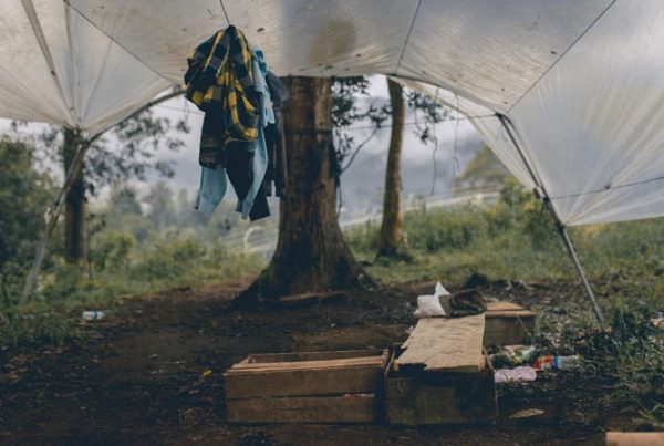 Homelessness and poverty go hand in hand. NZ has the highest rate of homelessness in the OECD. Lifewise turns lives around by addressing both issues.