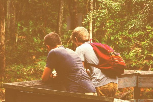 Two friends, side by side, facing a forest. Mental health support.