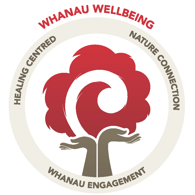 The three pillars of whanau wellbeing in early childhood education.