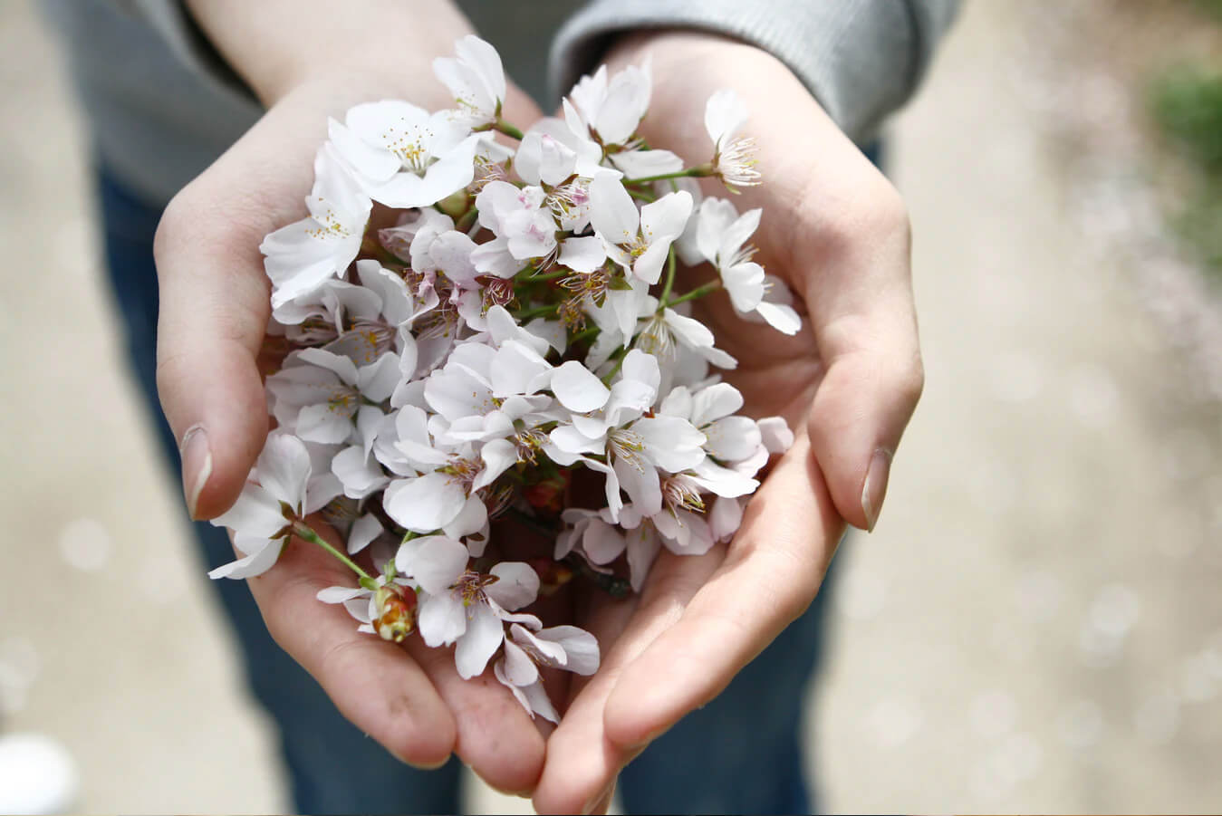 Hands Flower